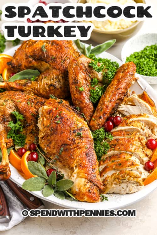 Spatchcock turkey is the best way to ensure every bite is tender and flavorful. Flattening the bird helps it cook evenly with crisp, golden skin and juicy meat all the way through. Rub it with olive oil, herbs, and a little seasoning before you roast it for the perfect holiday meal. This easy recipe works beautifully with a 10 to 12 lb bird or even larger if you’ve got the pan space. Pair it with your favorite sides for a showstopping dinner. #spendwithpennies close up of Spatchcock Turkey on a plate with a title