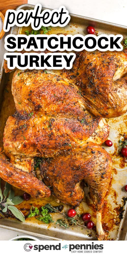 Spatchcock turkey cooks evenly with a beautiful golden crust and tender, juicy meat inside. Removing the backbone helps the bird roast perfectly, so every slice is full of flavor. This recipe uses simple herbs, olive oil, and seasoning for a classic taste. It’s a great way to roast a turkey that’s about 10 to 12 pounds or even more if you’ve got room. Serve it with gravy made from the drippings for the perfect finish. #spendwithpennies perfect Spatchcock Turkey on a sheet pan