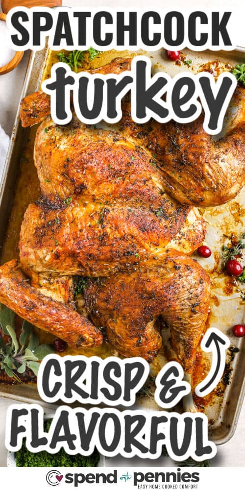 Spatchcock turkey is the secret to a tender, evenly roasted bird with golden brown skin. Flattening it helps it cook fast and lock in moisture. Brush it with olive oil and fresh herbs before roasting for a classic flavor everyone loves. This easy method works great with birds around 12 pounds. It’s simple, tasty, and turns out beautifully every time you make it. #spendwithpennies crisp and flavorful Spatchcock Turkey with writing
