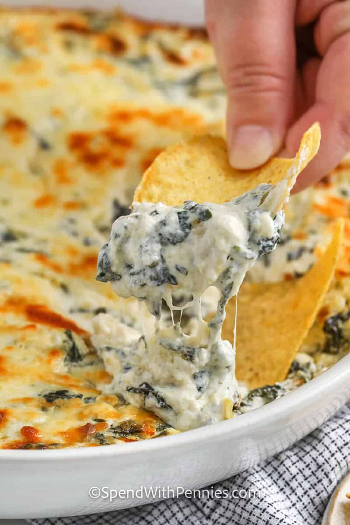 This spinach artichoke dip recipe makes the perfect creamy appetizer for holidays or game day. Cream cheese, sour cream, and melted mozzarella blend together with tender spinach and marinated artichokes. It bakes up hot and bubbly, ready for dipping bread, crackers, or fresh veggies. It’s easy, delicious, and sure to disappear fast. #spendwithpennies dipping a tortilla chip into baked spinach artichoke dip
