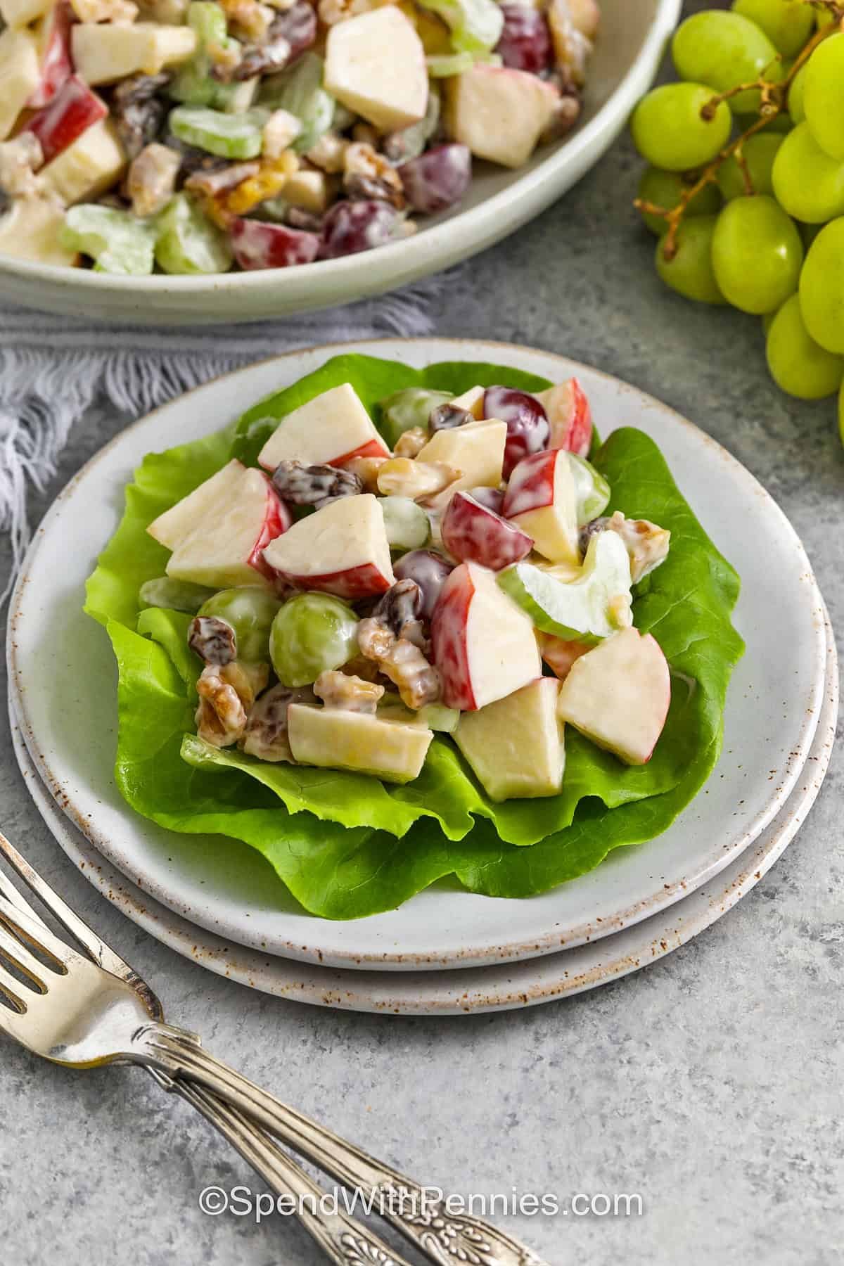 waldorf salad on a plate with lettuce