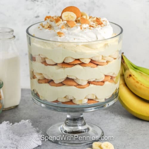 Banana Pudding in a dish