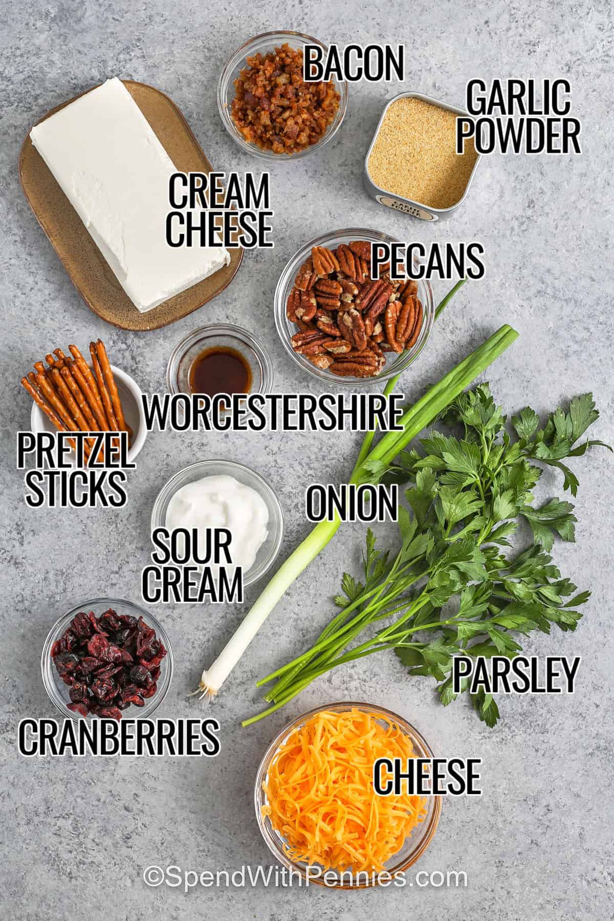 bacon , cream cheese , garlic powder , pecans , worcestershire , pretzel sticks , sour cream , onion , cranberries , parsley , cheese with labels to make Mini Cheese Balls
