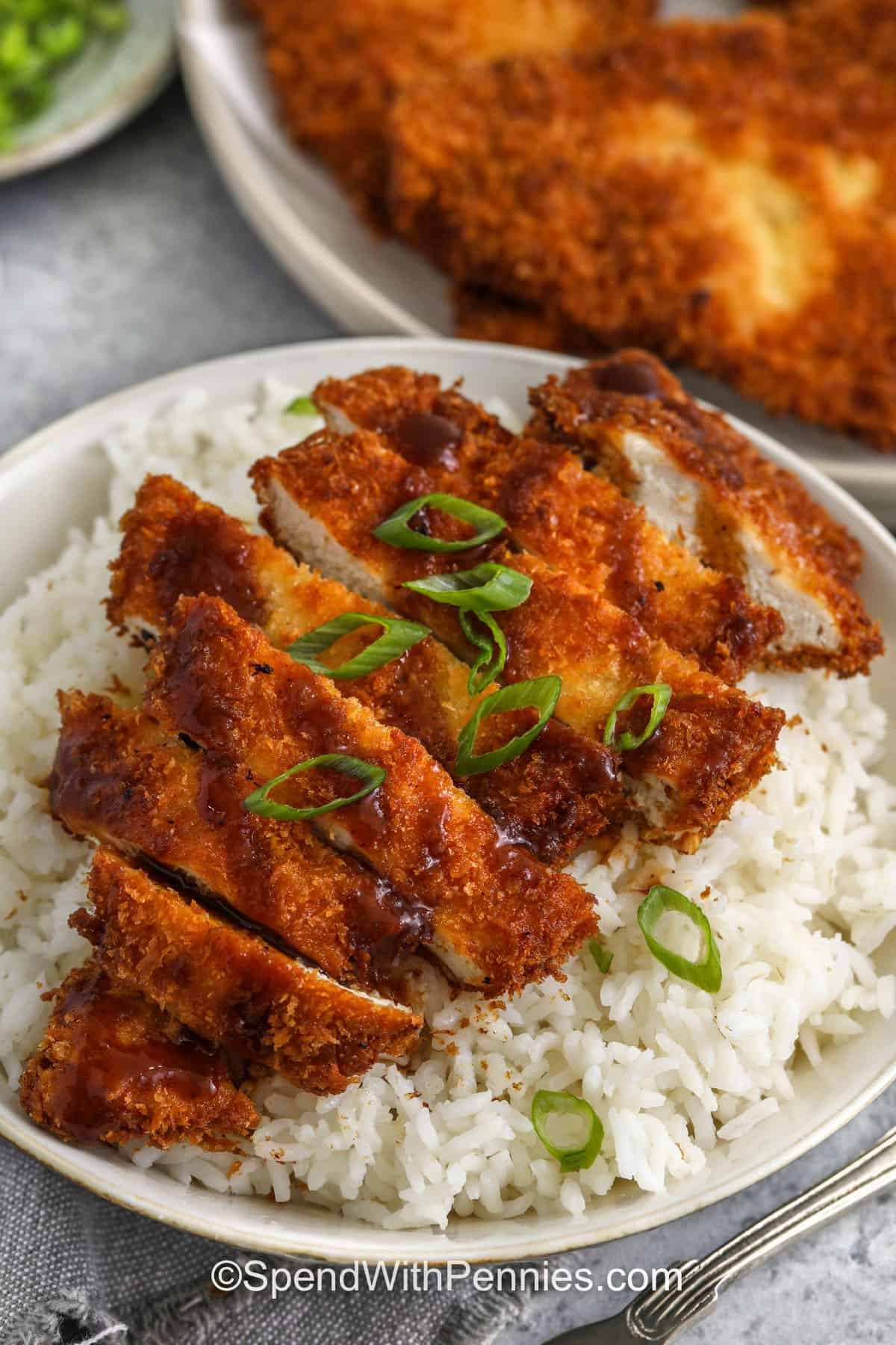 crunchy Chicken Katsu on rice with green onions
