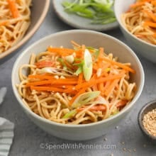 Close up of a bowl of cold sesame noodles topped with matchstick carrots, green onion, chopped peanuts and sesame seeds