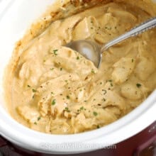 Horizontal angle of shredded chicken in a creamy gravy in a crockpot with a spoon.