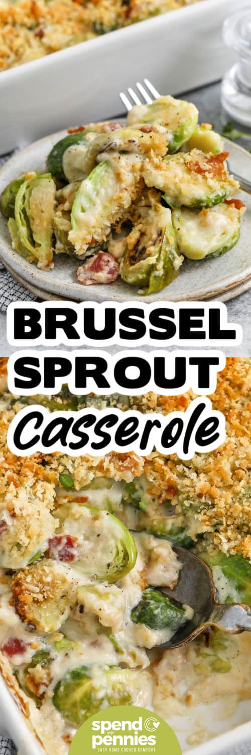 Bring rich holiday comfort to the table with this creamy Brussel sprout casserole. The cheese sauce melts smoothly over tender sprouts, and the bacon adds a smoky touch that complements the buttery topping. This casserole fits perfectly beside classic Christmas mains and is easy to make ahead. Its cozy flavors make it a favorite for winter gatherings. #spendwithpennies Brussels Sprout Casserole in the casserole dish and plated with a title