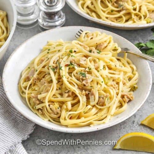 close up of Linguine with Clam Sauce on a plate with a fork