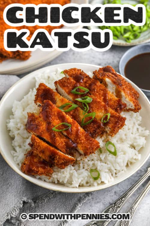 Chicken Katsu on rice with a title