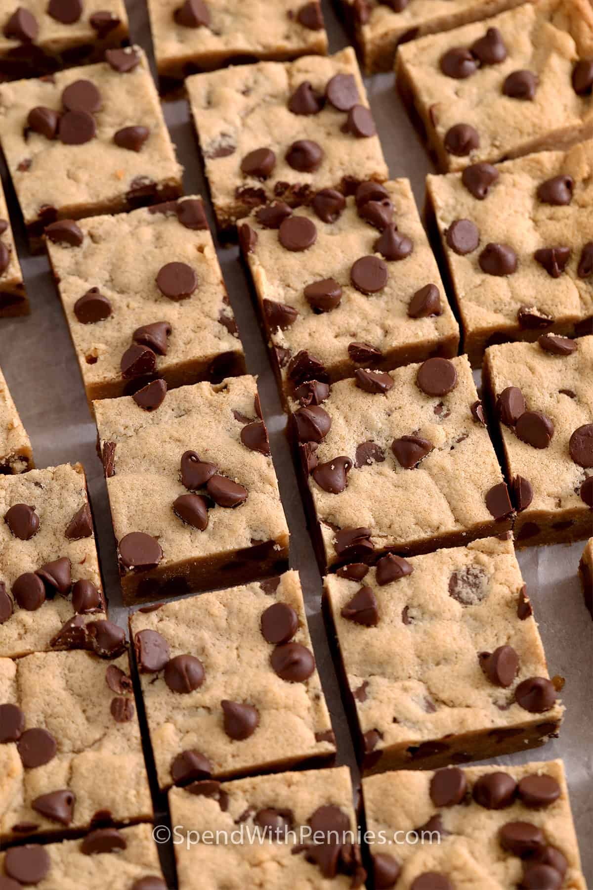 Close up of Peanut Butter Cookie Bars cut into squares.