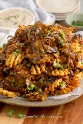 a close up of pot roast nachos