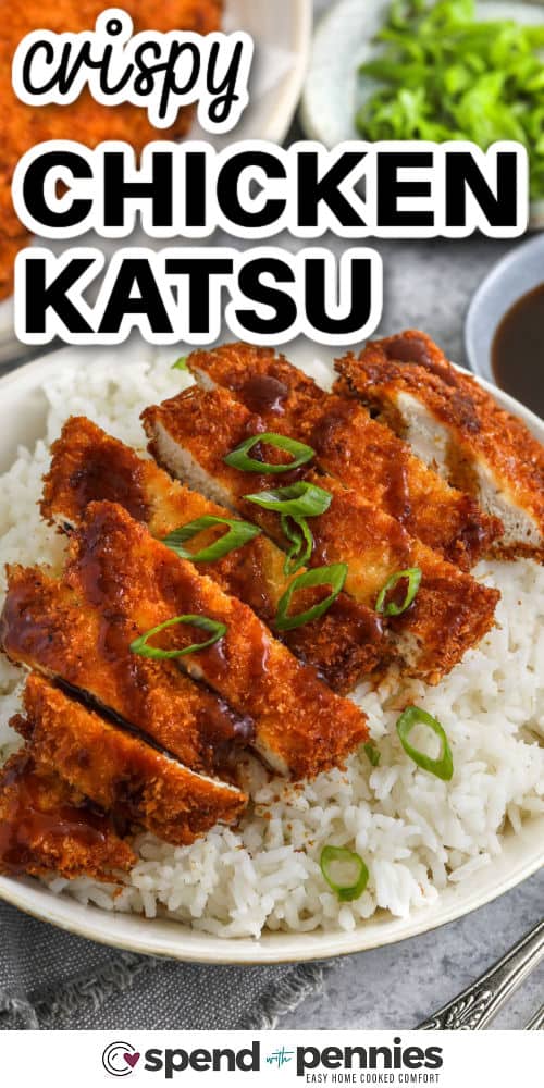 crispy Chicken Katsu on rice with writing