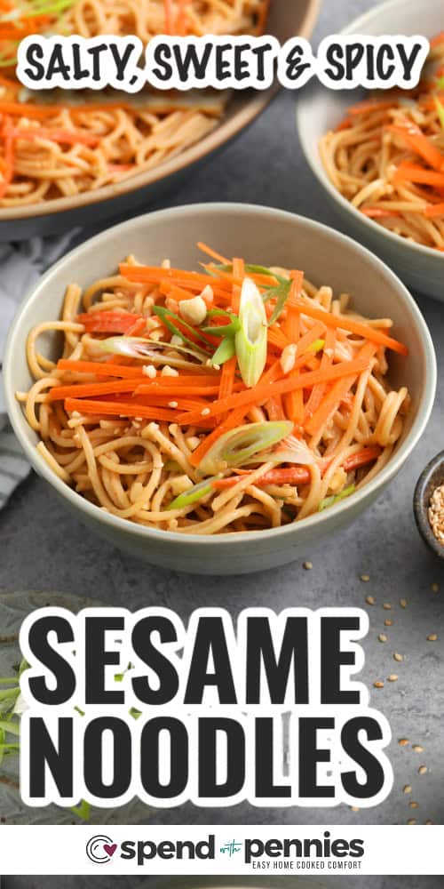 cold sesame noodles in a bowl with writing