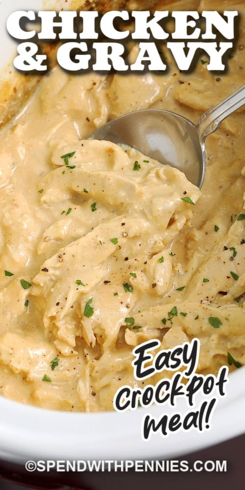 Crockpot chicken and gravy is a weeknight lifesaver when you want comfort food with minimal effort. The chicken cooks until tender in a seasoned liquid, then the gravy is thickened at the end for a smooth, glossy texture. Evaporated milk adds creaminess without needing canned soup. It is perfect over mashed potatoes, rice, biscuits, or egg noodles and reheats well for lunch. #spendwithpennies Close up of a spoon scooping easy crockpot chicken and gravy with text.