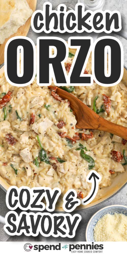 cozy and savory Marry Me Chicken Orzo with writing