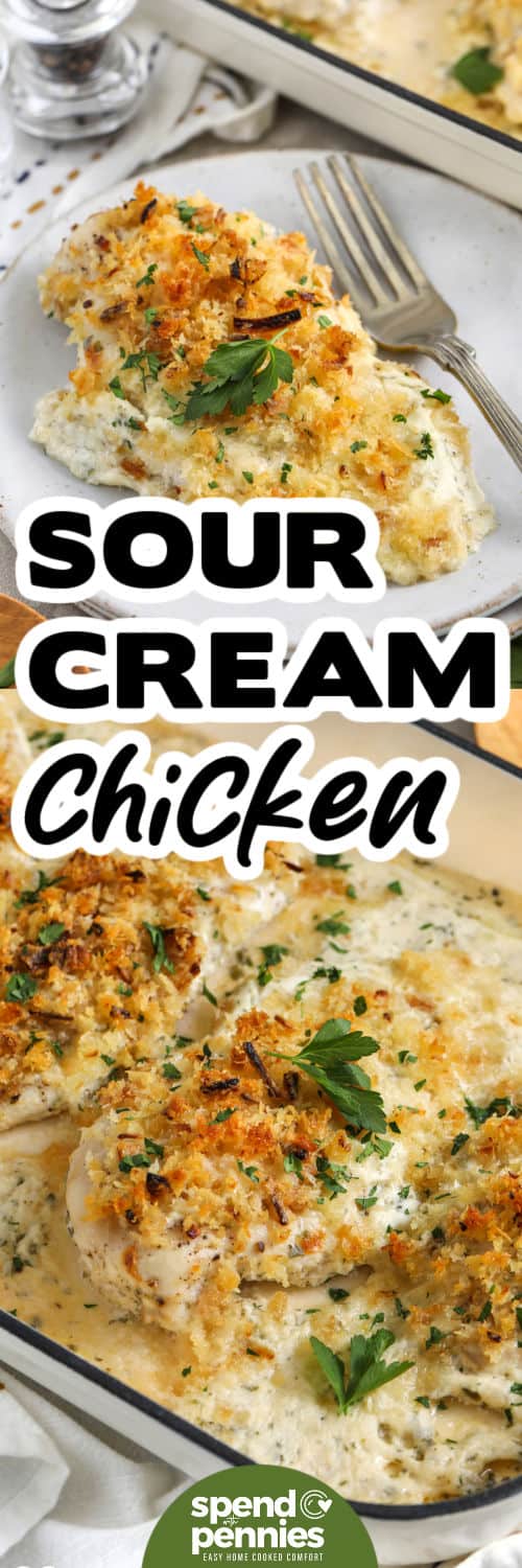 Sour Cream Chicken in a casserole dish and a piece plated with a title