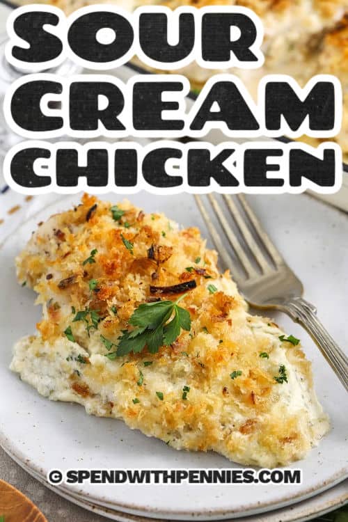plated Sour Cream Chicken with a title