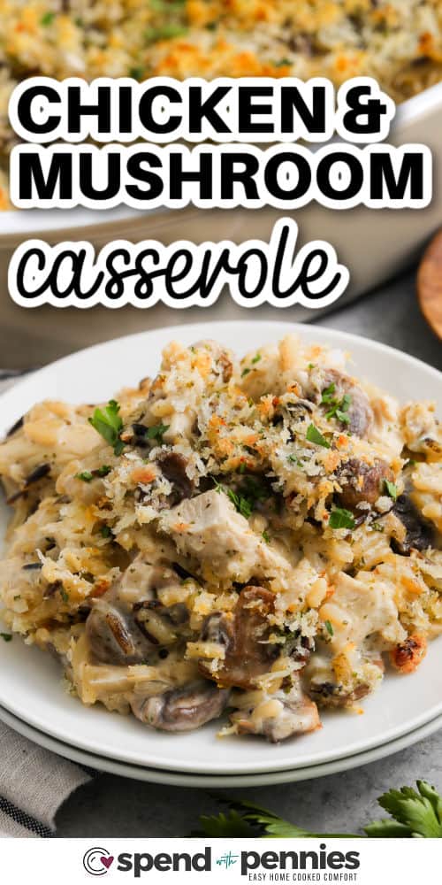 a plate of chicken and mushroom casserole with a title