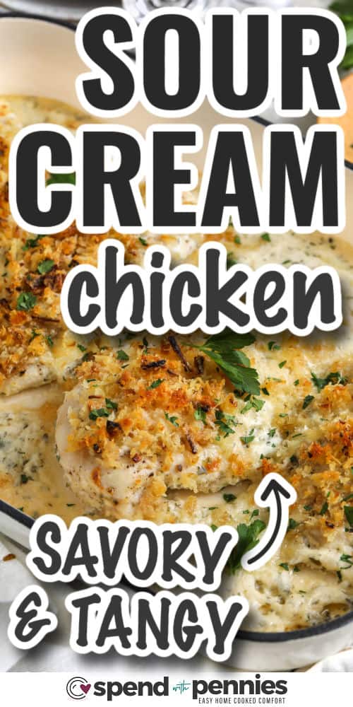 savory and tangy Sour Cream Chicken with writing