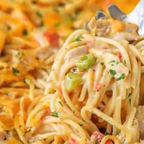 close up of creamy Chicken Spaghetti