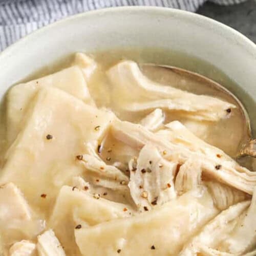 close up of Chicken and Dumplings in bowl