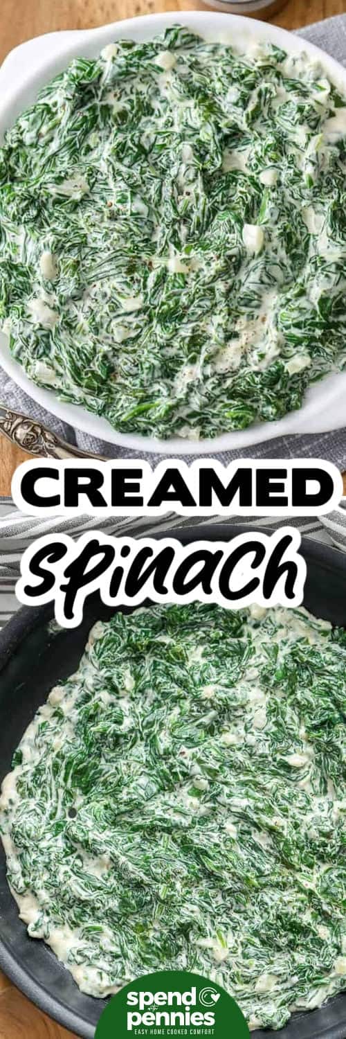 This creamed spinach recipe delivers steakhouse flavor at home with a smooth cream cheese sauce. Use fresh spinach for bright, vibrant flavor or frozen spinach for a fast shortcut. The key is draining and squeezing the spinach dry so the sauce stays thick and velvety. Serve this creamy spinach side dish with ribeye, chicken, or salmon, and reheat gently for easy leftovers. #spendwithpennies Creamed Spinach 2 in the pot and in a bowl with a title