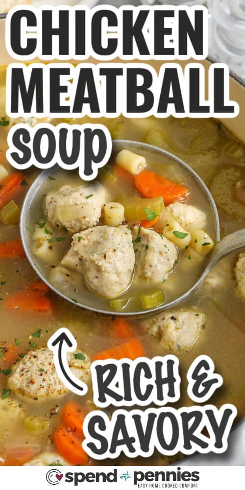 rich and savory Chicken Meatball Soup with writing