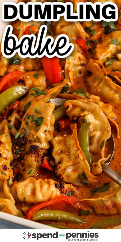 close up of Dumpling Bake with vegetables and a title