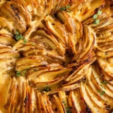 close up of Potatoes Au Gratin