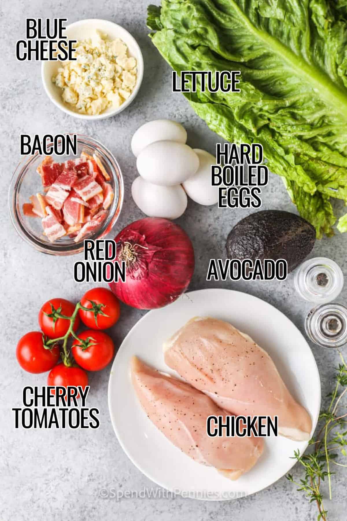 blue cheese , lettuce , hard boiled eggs , bacon , red onion , cherry tomatoes , avocado , chicken with labels to make Cobb Salad