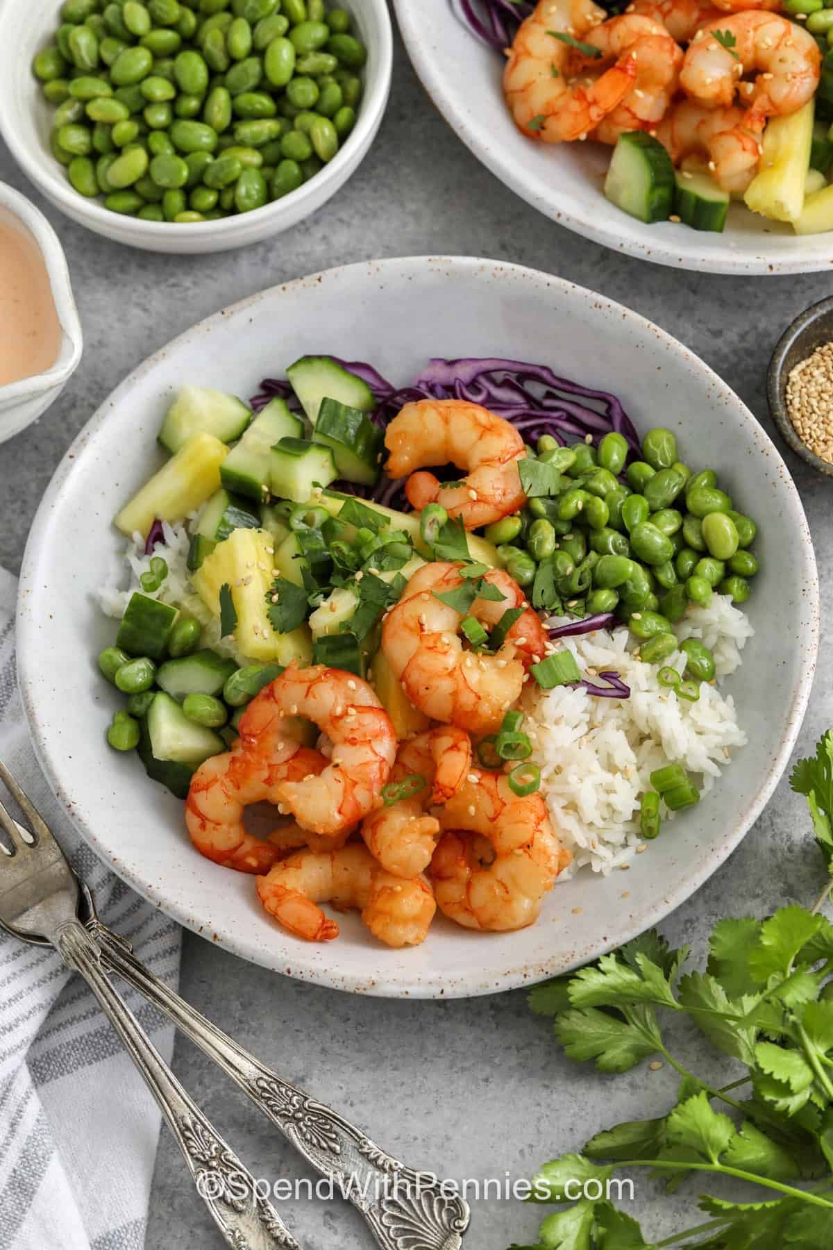 A shrimp bowl topped with green onions and cilantro