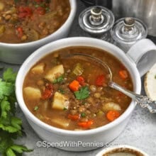 bowls of Slow Cooker Lentil Soup