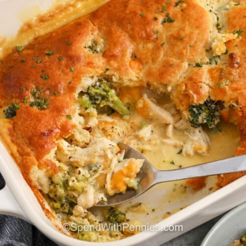 close up of Cheddar Chicken Cobbler in the casserole dish