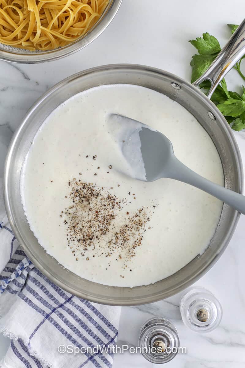adding salt and pepper to Cottage Cheese Alfredo Sauce
