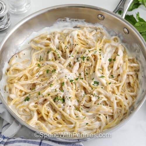 pot of Cottage Cheese Alfredo Sauce on fettuccini