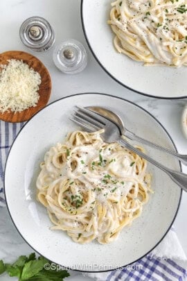top view of plated fettuccini with Cottage Cheese Alfredo Sauce