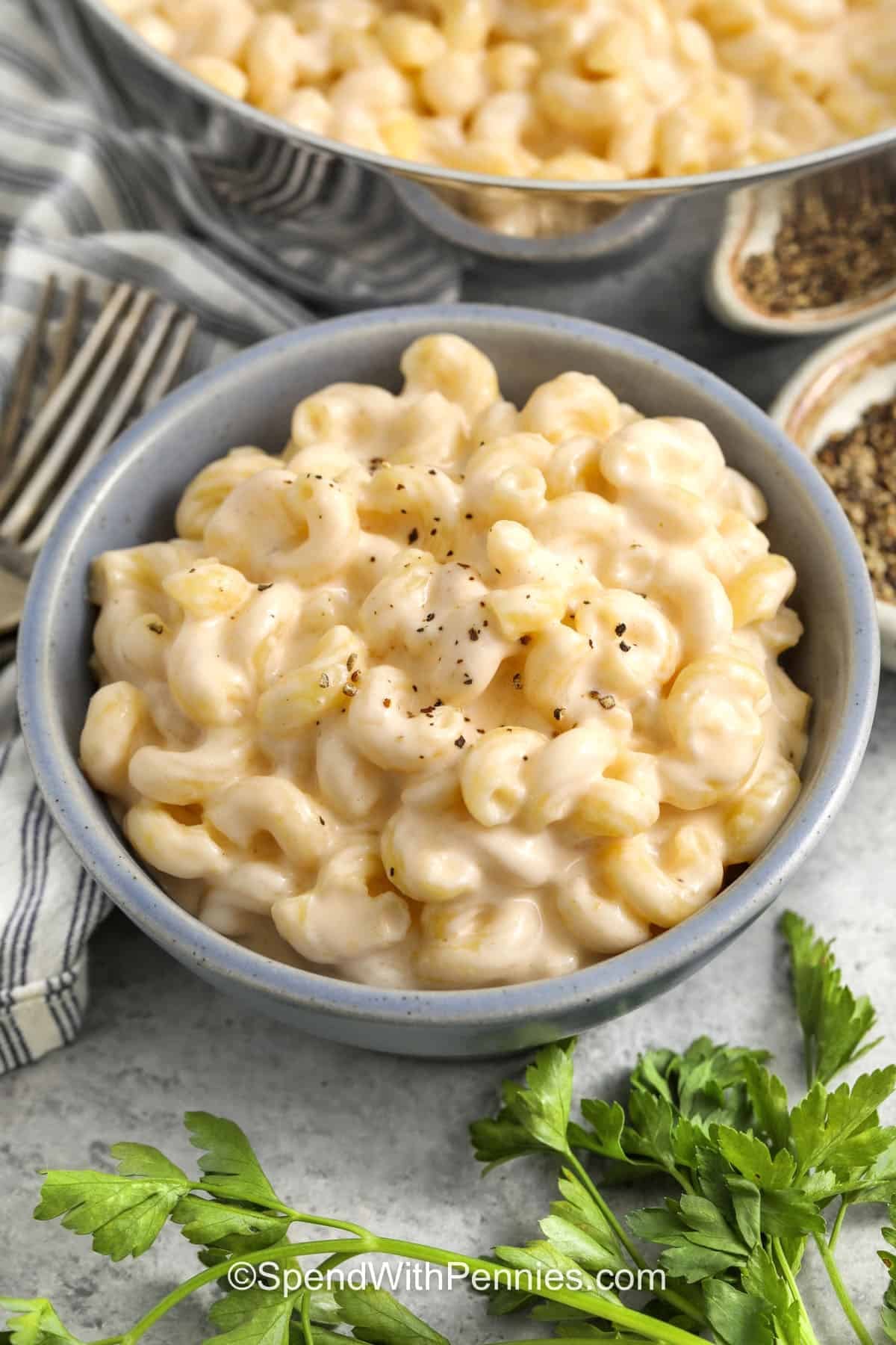 plated Cottage Cheese Mac and Cheese