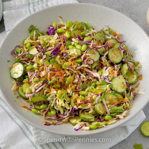 Bowl of Crispy Rice Salad and sesame dressing on the side.