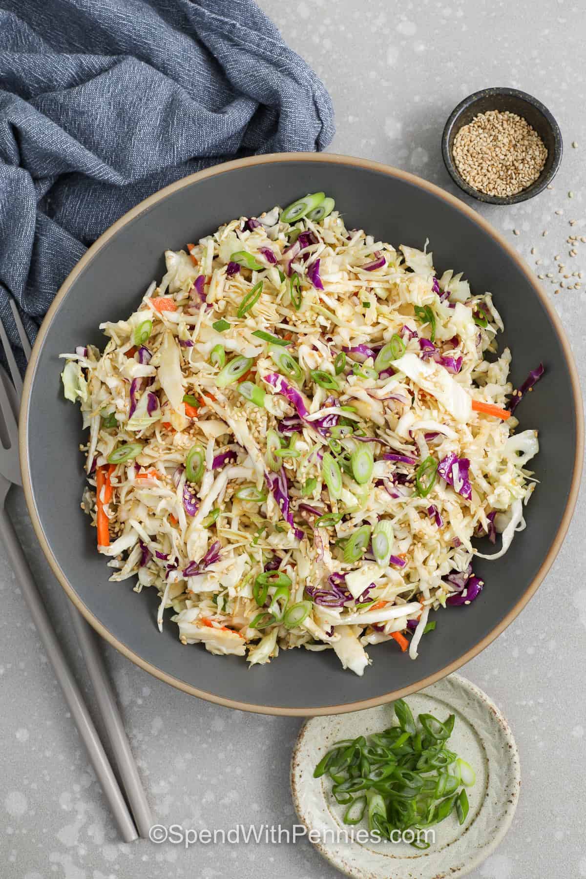This Asian slaw is a quick cabbage side dish made with coleslaw mix, green onions, rice vinegar, soy sauce, and toasted sesame oil. It is light, crunchy, and easy to pair with grilled chicken, salmon, stir fry, or rice bowls. Since the dressing is tossed right in the bowl, cleanup stays easy too. A short chill gives the cabbage time to absorb the sesame dressing and makes the flavor even better for dinner, meal prep, or potlucks. #spendwithpennies Easy Asian Slaw with sesame seeds and green onions