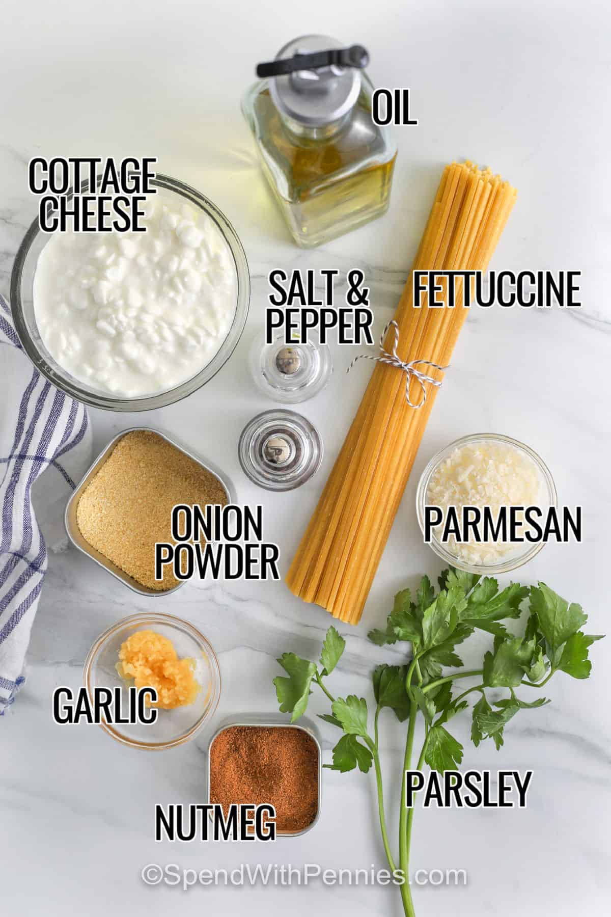oil , cottage cheese , fettuccine , parmesan, onion powder , garlic , nutmeg , parsley , salt and pepper with labels to make Cottage Cheese Alfredo Sauce