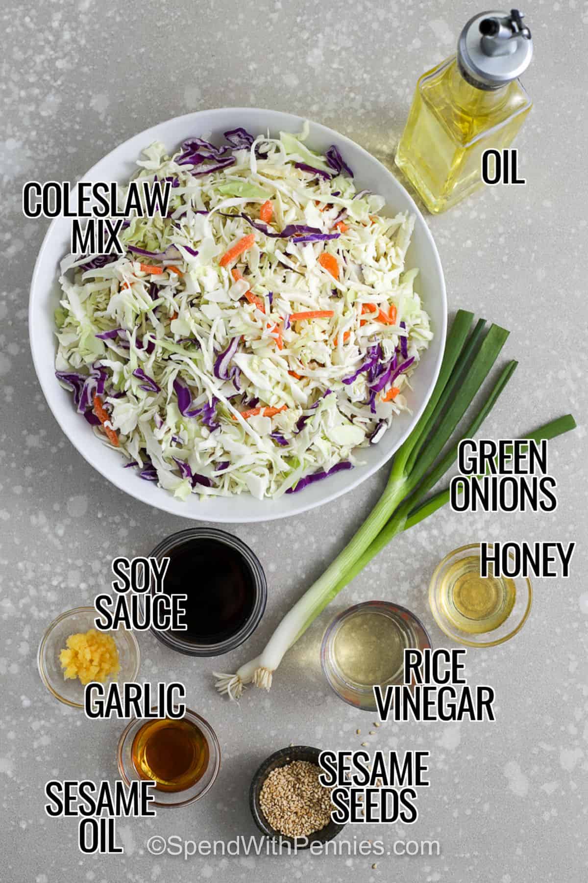 If you need a fresh side for grilled meats or takeout-style dinners, this Asian cabbage slaw is a smart choice. It uses crunchy slaw mix, sliced green onions, and sesame seeds in a quick rice vinegar dressing with soy sauce and toasted sesame oil. It is easy to make ahead and easy to customize with carrots, bell peppers, cilantro, or crunchy toppings, so it works for weeknight meals and casual entertaining alike. #spendwithpennies coleslaw mix , oil , green onions , honey , rice vinegar , sesame seeds , sesame oil , garlic , soy sauce with labels to make Easy Asian Slaw
