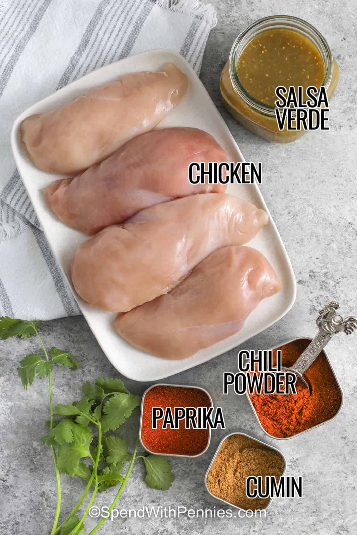 chicken , salsa verde , chili powder , paprika , cumin with labels to make Salsa Verde Chicken