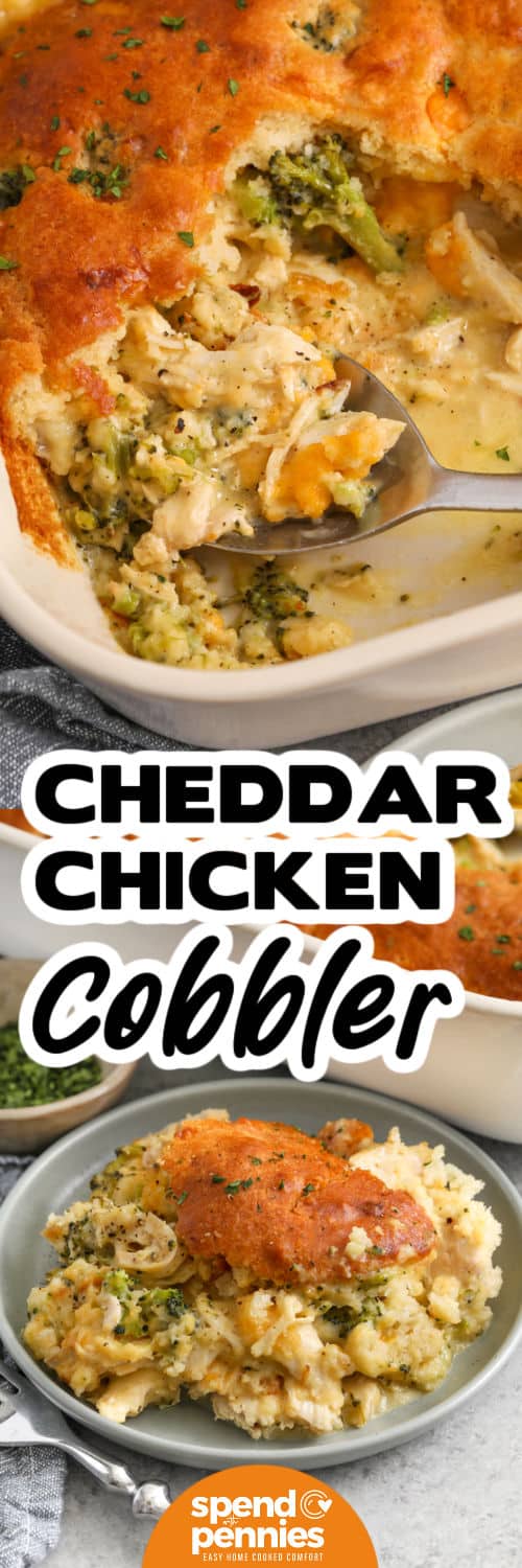 This cheddar chicken cobbler recipe is a hearty baked dinner that balances creamy filling with a fluffy, golden topping. Broccoli gives the dish color and texture, while the cheddar and biscuit mix make it feel a little more special than a standard casserole. It is a family-friendly option for cooler nights, casual gatherings, or any time a one-dish dinner sounds better than cooking separate parts of a meal. #spendwithpennies Cheddar Chicken Cobbler in the dish and plated with a title
