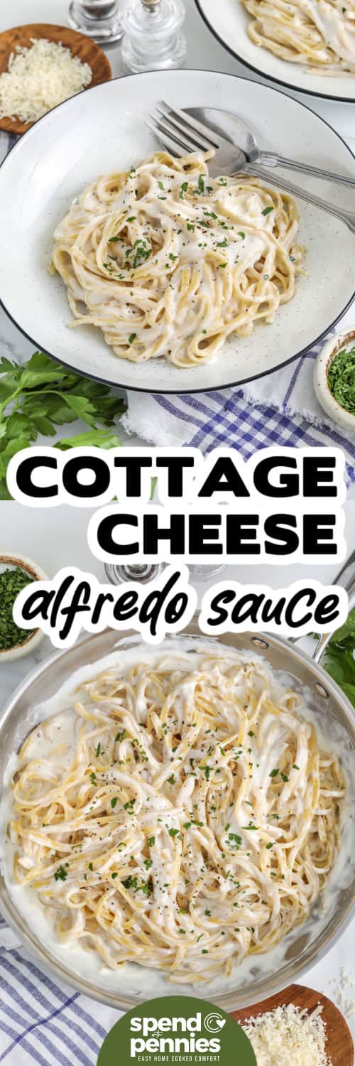fettuccine with Cottage Cheese Alfredo Sauce in the pot and plated with a title
