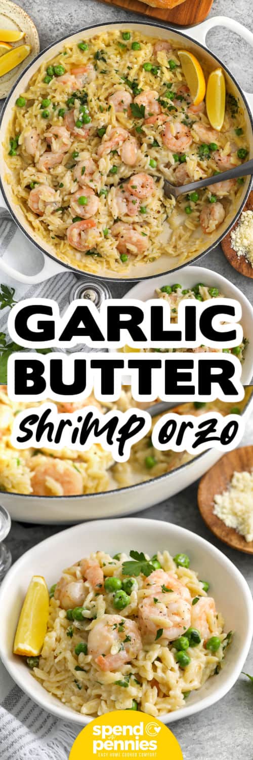 Garlic Butter Shrimp Orzo in the pot and plated with a title