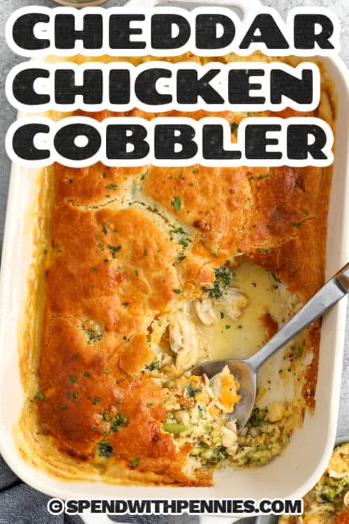 This chicken cobbler recipe is the kind of easy comfort food that earns a spot in the regular dinner rotation. Cooked shredded chicken, chopped broccoli, sharp cheddar, and a creamy sauce bake under a fluffy cheddar biscuit topping until golden. It has the cozy flavor of chicken pot pie with a simpler method, making it perfect for weeknights, family dinners, or using up leftover chicken in a way that still feels fresh and satisfying. #spendwithpennies dish of Cheddar Chicken Cobbler with a title