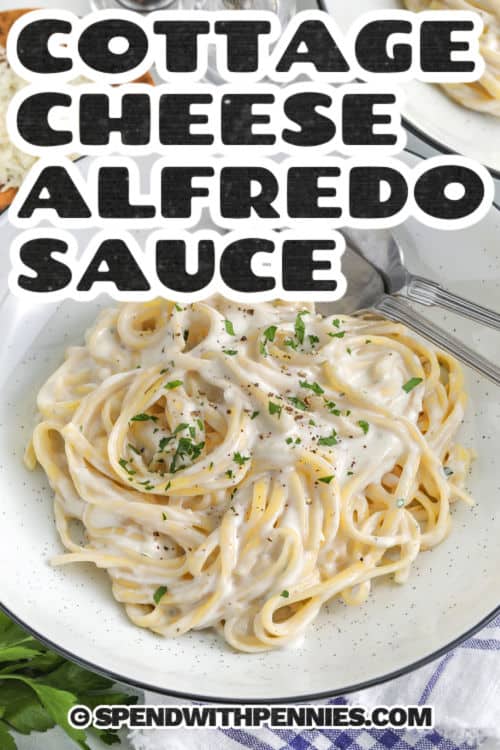 plated Cottage Cheese Alfredo Sauce on fettuccine with a title