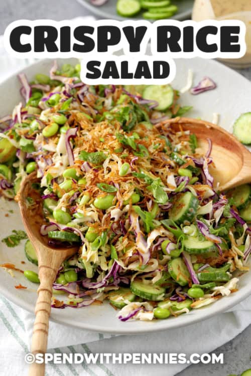 Close up of Crispy Rice Salad with text.
