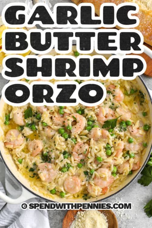 pot full of Garlic Butter Shrimp Orzo with a title
