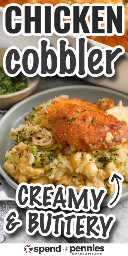 This broccoli chicken cobbler recipe brings together tender chicken, bright broccoli, and sharp cheddar in a creamy baked filling that tastes like pure comfort. The biscuit topping adds buttery garlic flavor and turns golden in the oven without any rolling or shaping. It is a smart choice for meal prep, for using rotisserie chicken, or for making a hearty dinner that reheats well for lunch the next day. #spendwithpennies buttery Cheddar Chicken Cobbler on plate with writing